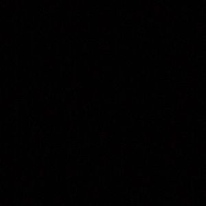 Meet your Posher, Owen